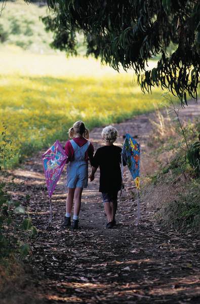 children, friends, kids, kites